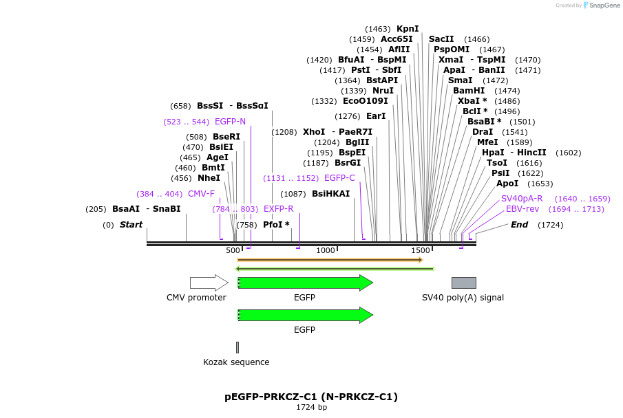 425058_map