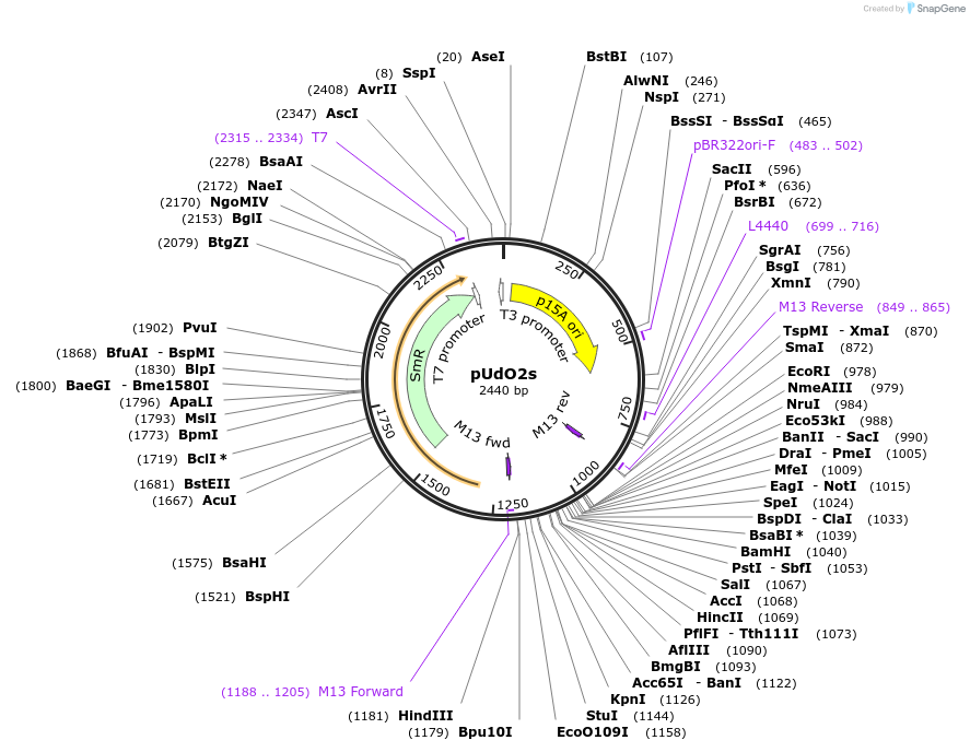 425059_map