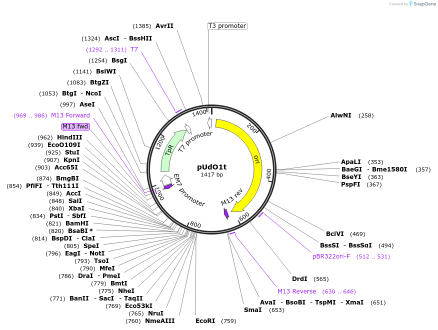 425072_map