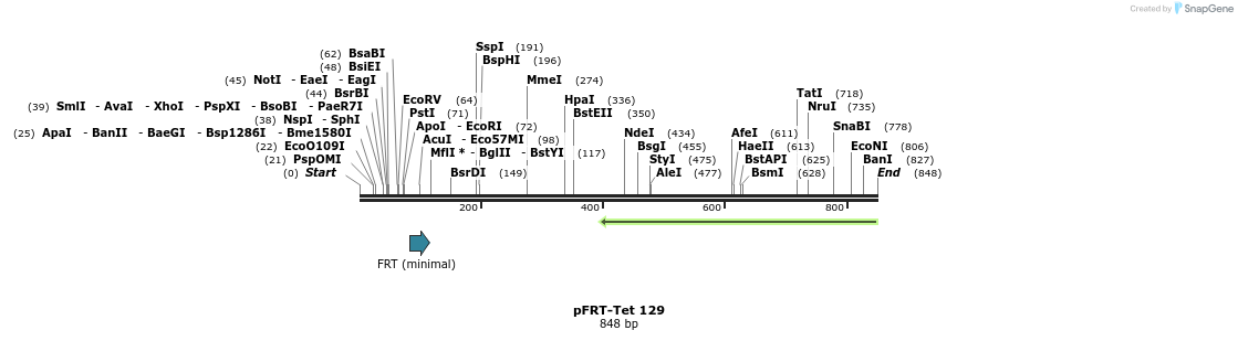 42509_map