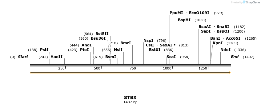 425210_map