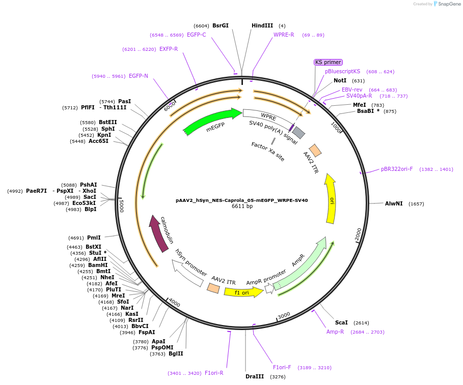 425214_map