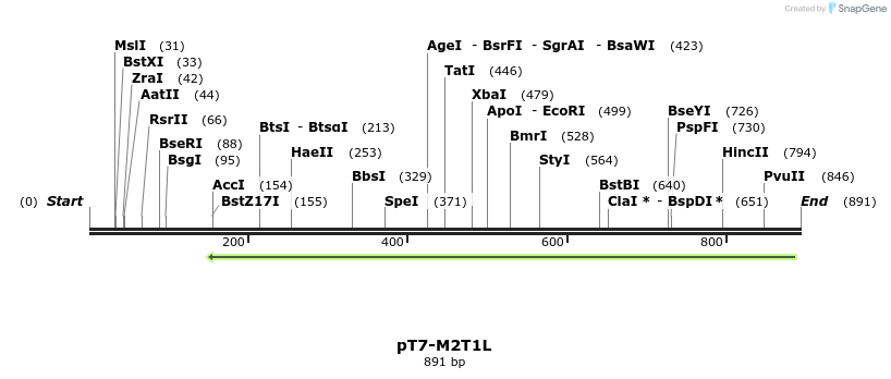 42523_map