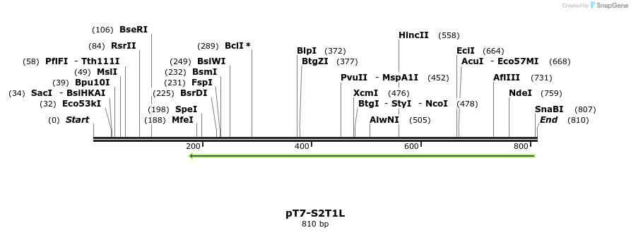 42524_map
