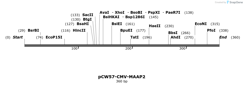 425256_map