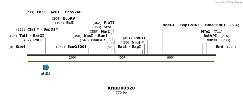 42526_map