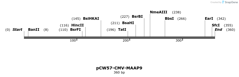 425260_map