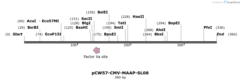425262_map