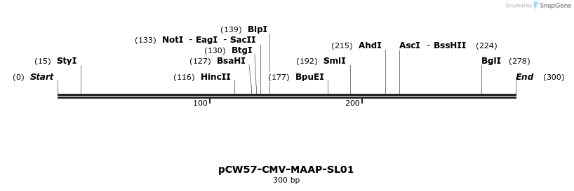 425264_map