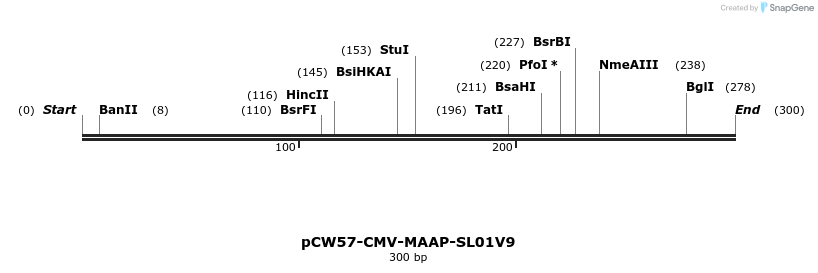 425268_map