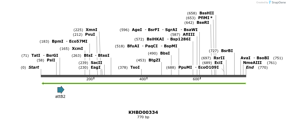 42527_map