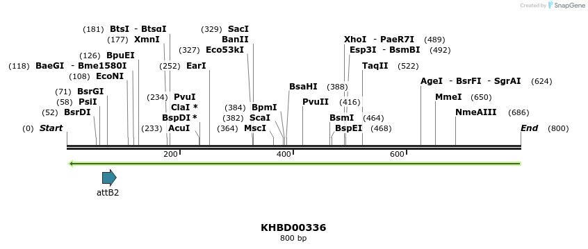 42528_map