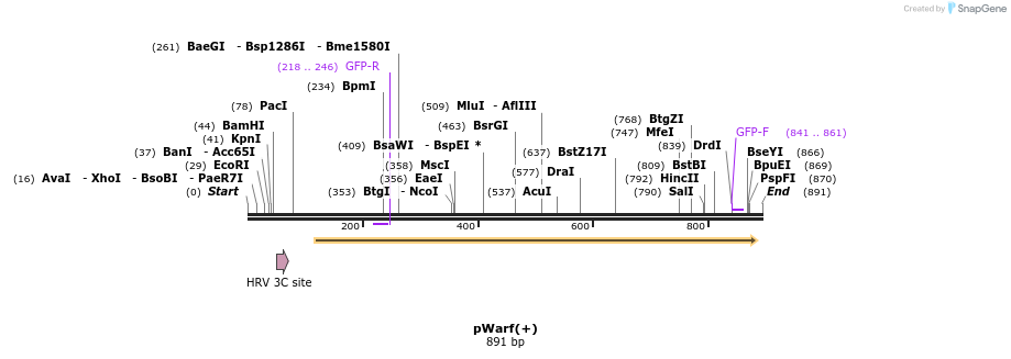 42533_map