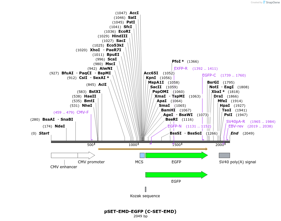 425349_map