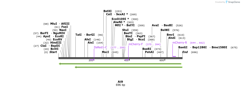 42539_map
