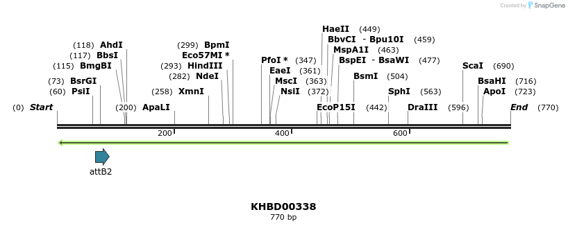 42540_map