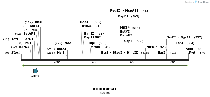 42541_map