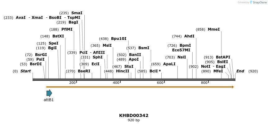 42542_map