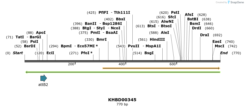 42543_map