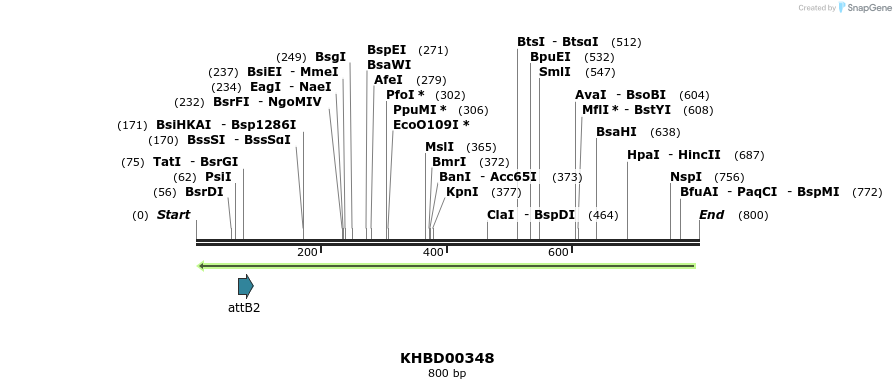 42545_map