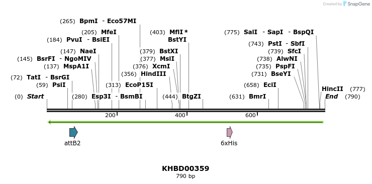42548_map