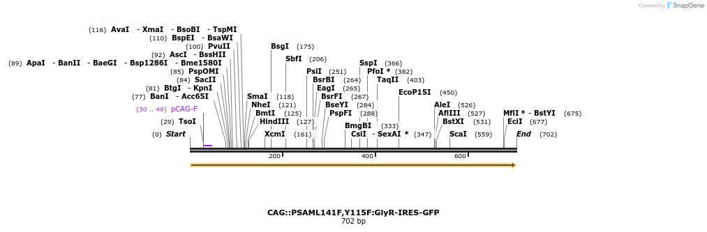 42554_map