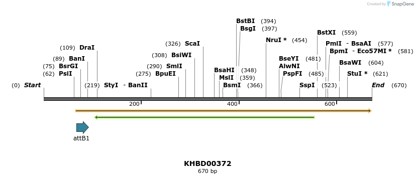 42556_map