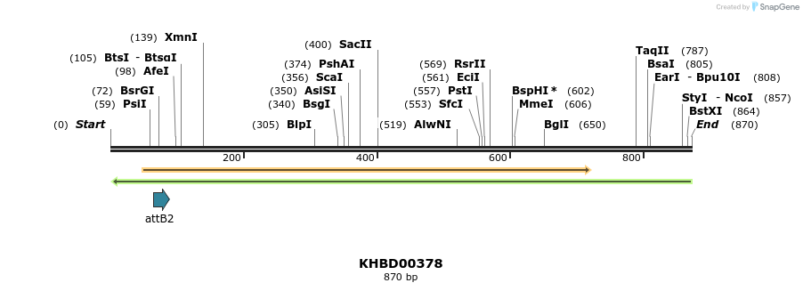 42562_map