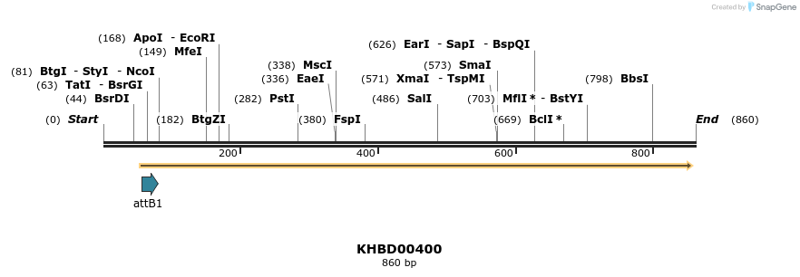 42566_map