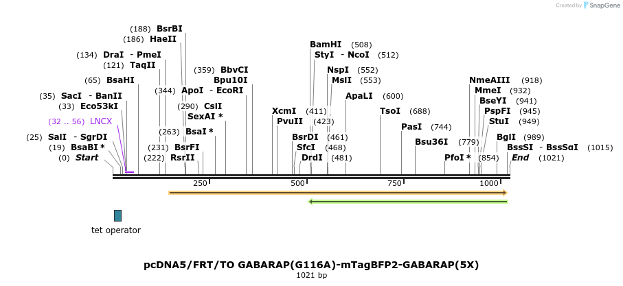 425667_map