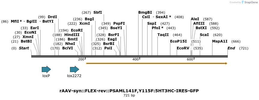 42567_map