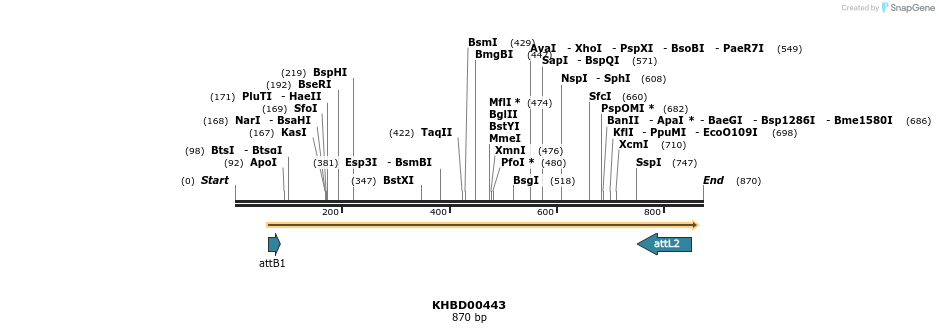 42568_map