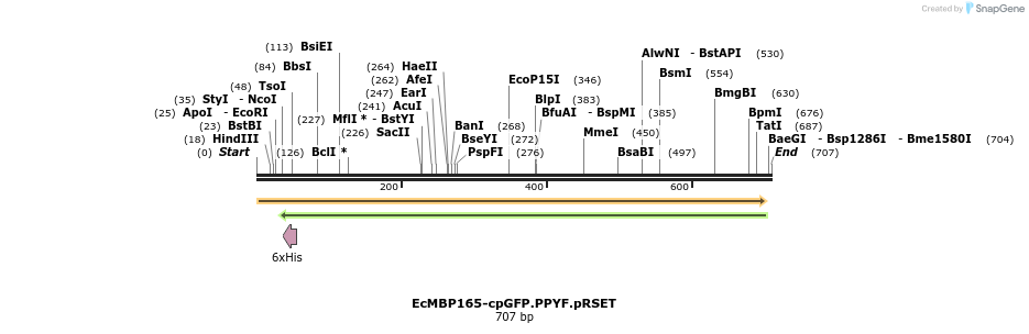 42576_map