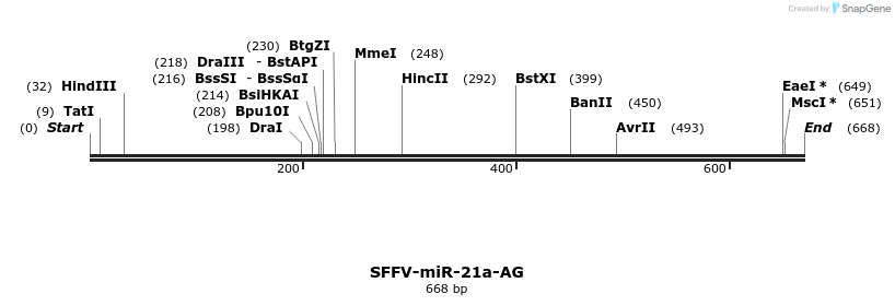 425764_map