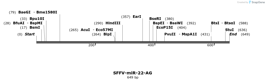 425765_map