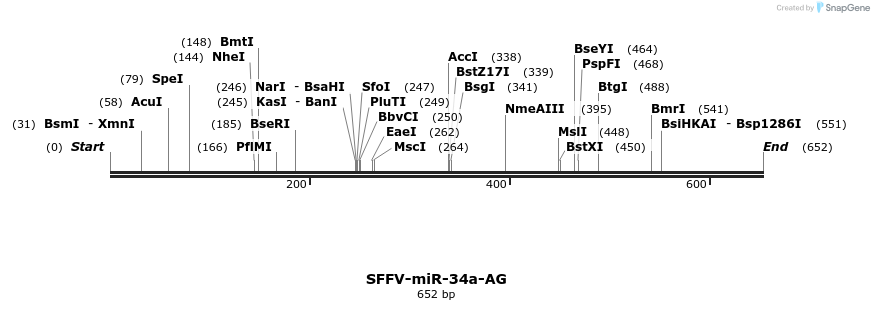 425767_map