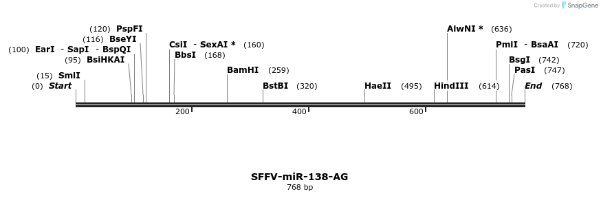 425770_map