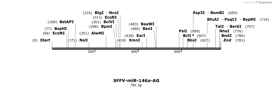 425772_map