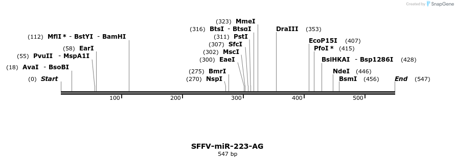 425775_map
