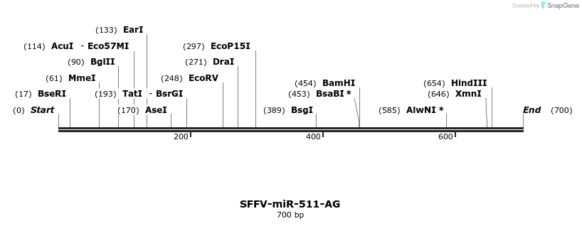 425777_map