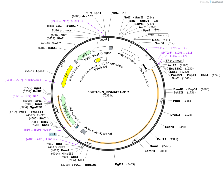 425912_map