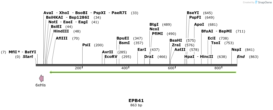 42593_map