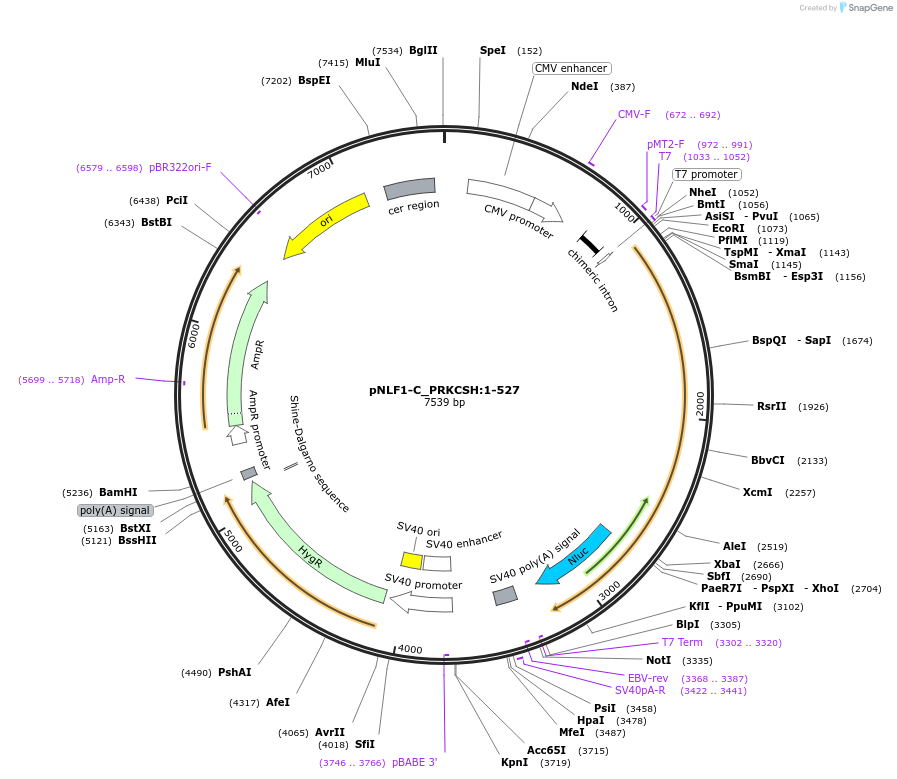 425969_map