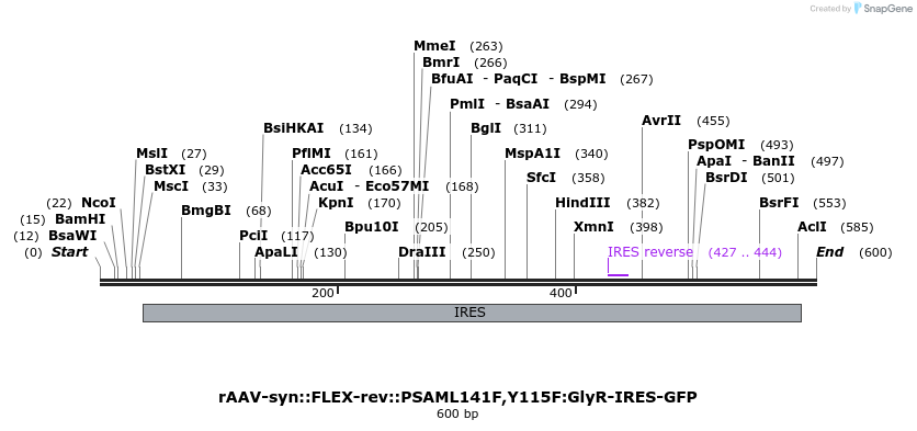 42597_map