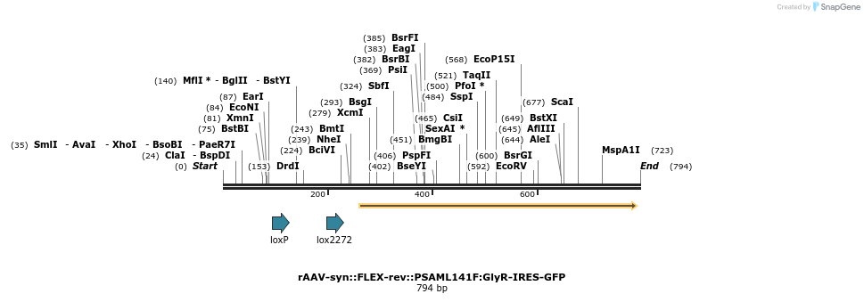 42598_map