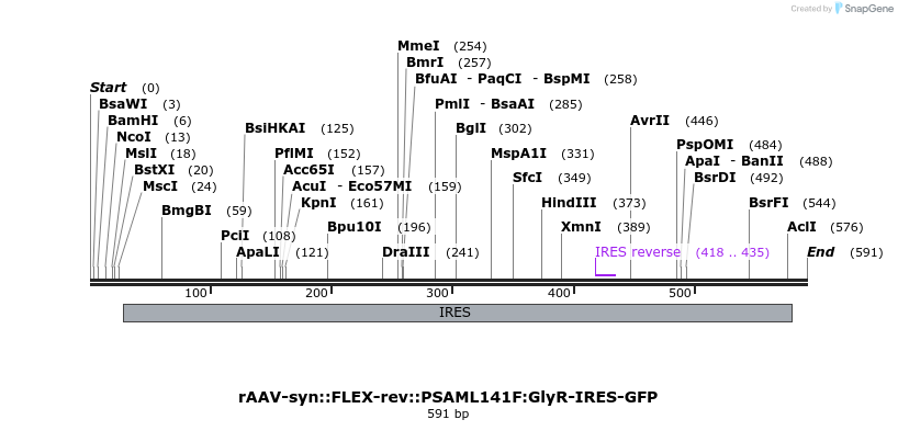 42599_map