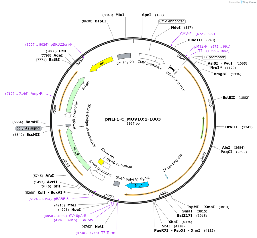 426015_map