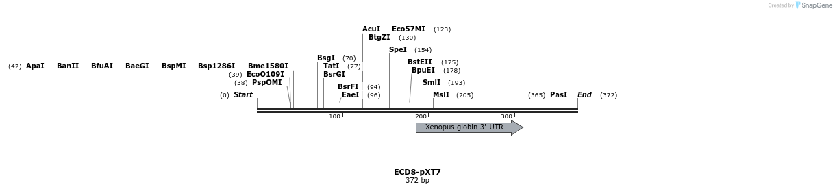 42605_map