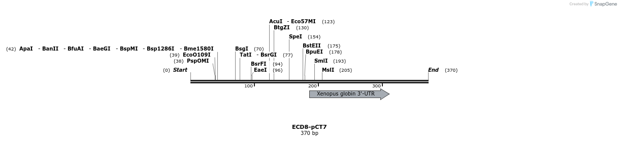 42606_map