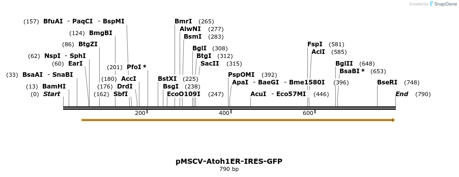 42607_map